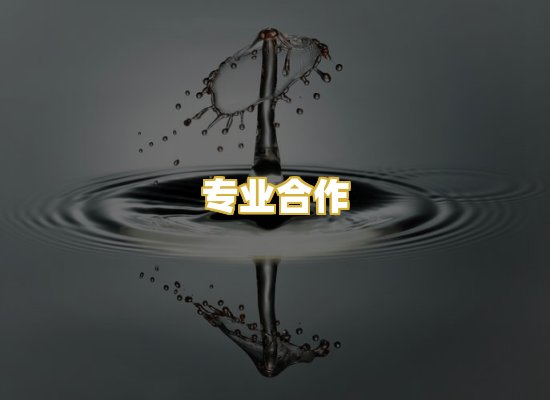 专业合作